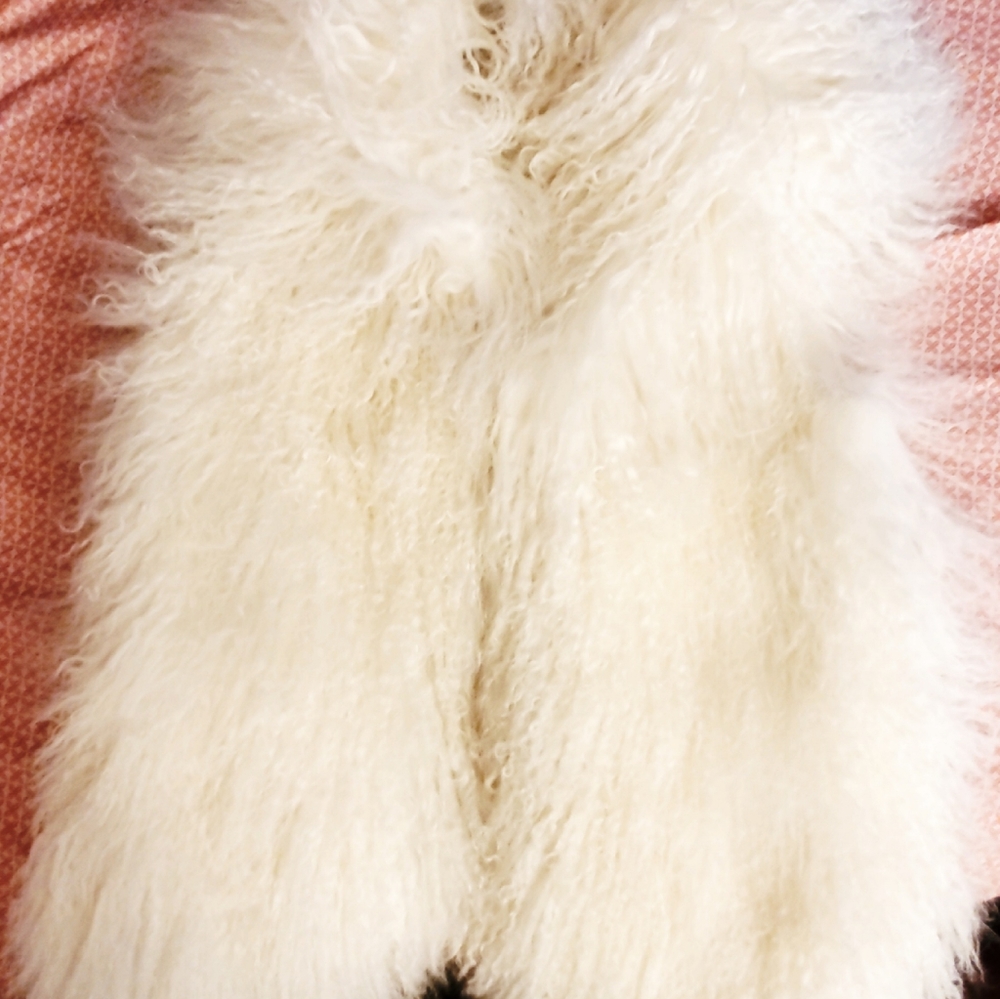 Furry sweater vest